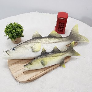농어 1P (소,대) 생선모형/모조생선/가짜물고기/물고기모형