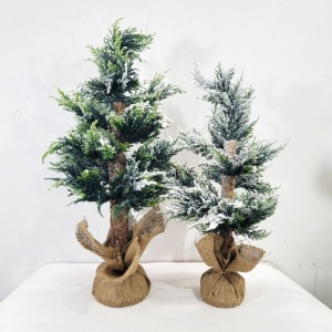 전나무 크리스마스 레알 트리 (소/중)