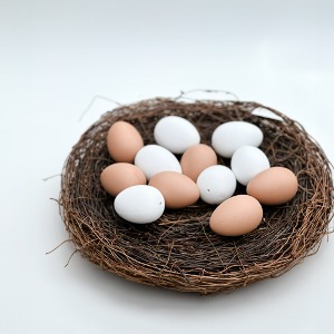24 계란 모형 12개 묶음 부활절 소품 달걀 꾸미기 재료