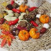 가을 열매 도토리 밤 고추 호박 마늘 대추 땅콩 버섯 솔방울 야채 과일 모형